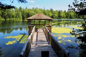 Harvey Moore Wildlife Sanctuary