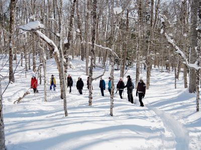 Strathgartney Trail
